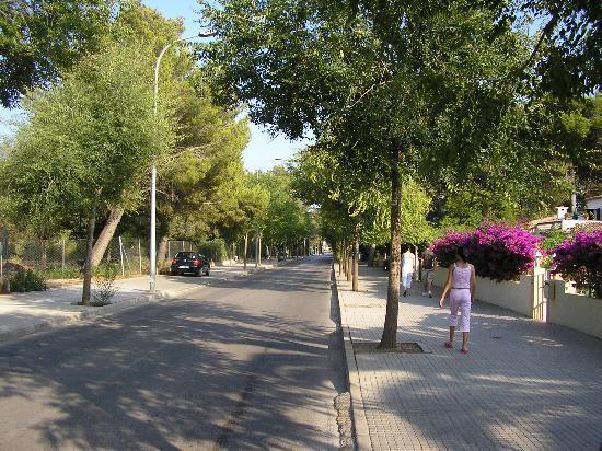 Apartamento Leo Puerto Pollensa